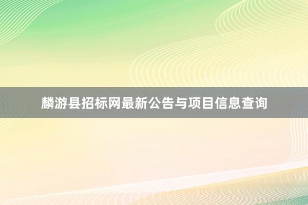 麟游县招标网最新公告与项目信息查询